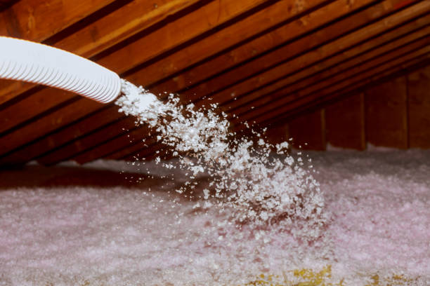 Best Attic Insulation Installation  in Groves, TX