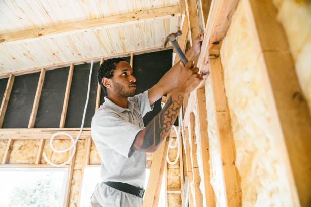Best Cellulose Insulation  in Groves, TX