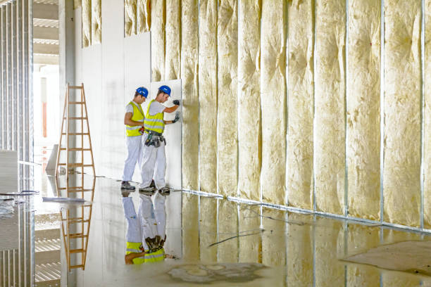 Best Local Insulation Services  in Groves, TX